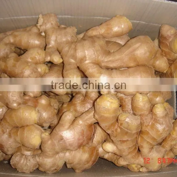2014 New Air Dry Fresh Ginger photo-5