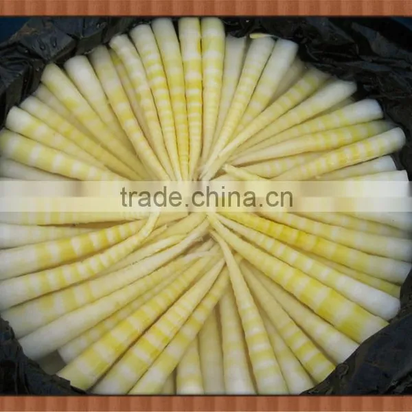 Chinese Sichuan Bamboo Shoot