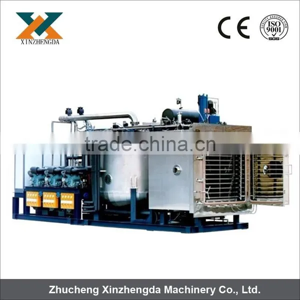 Vacuum Freeze Dryer