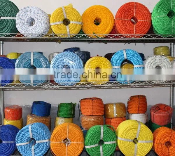 Chinese Best Quality Competitive Price Plastic Rope photo-2