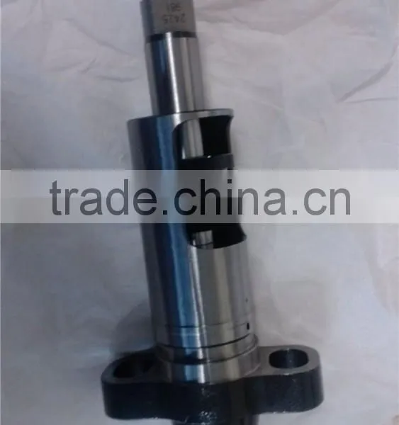 Diesel Element Plunger 2425 981 photo-2