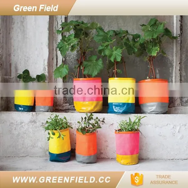 Custom Printing Flower Pot Canvas Fabric Grow Pot photo-3