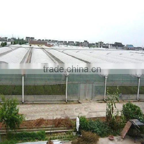 Cheap Flat Roof Greenhouse photo-3