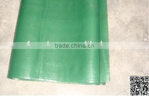 Greenhouse Floor Covering photo-3