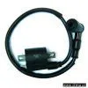 Ignition Coil (CG Type)