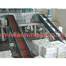 Chain Conveyor Paper Pulping Machine for Conveying Waste Paper and Pulp Board to the Hydrapulper