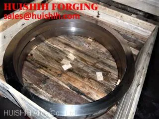 Кованный кольцо из Incoloy 800H