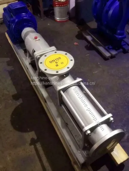 G Helical Rotor Pump photo-4
