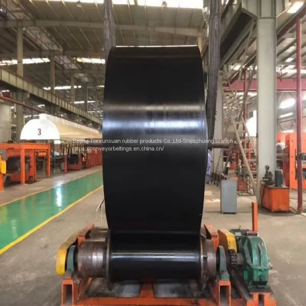 Fabric Oil Resistant Conveyor Belt photo-5