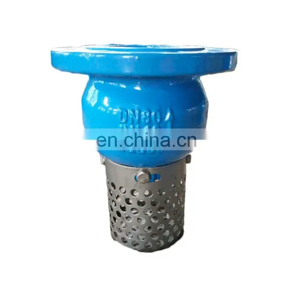 DN150 PN16 GGG50 Ductile Iron Foot Valve With Stainless Steel Strainer photo-3