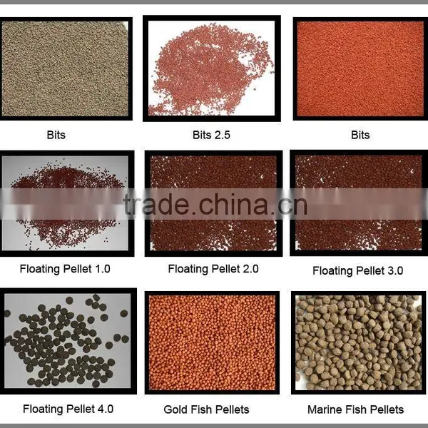 New Product Floating Fish Food Pellet Processing Making Machinery photo-3