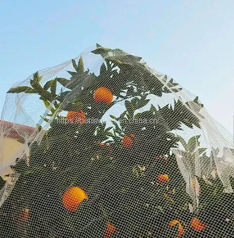 Agriculture Garden Protection Net Mesh High Strength HDPE Warp Knitted Green Bird Netting photo-2