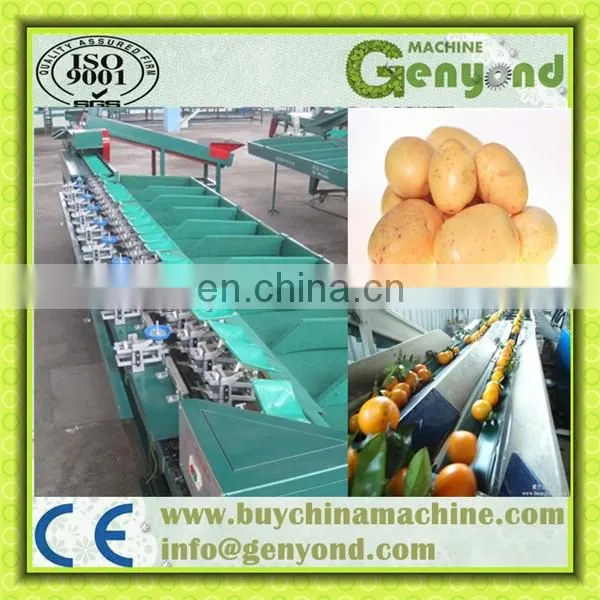Sorting Grading Machine of Fruits and Vegetables photo-5