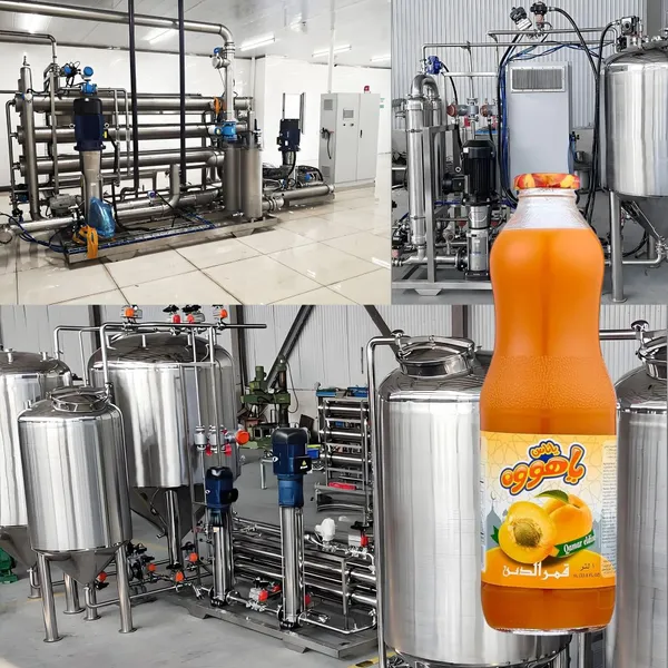 Ligne de production complète de machines de traitement des boissons entièrement automatiques, équipement de clarification et de filtration membranaires