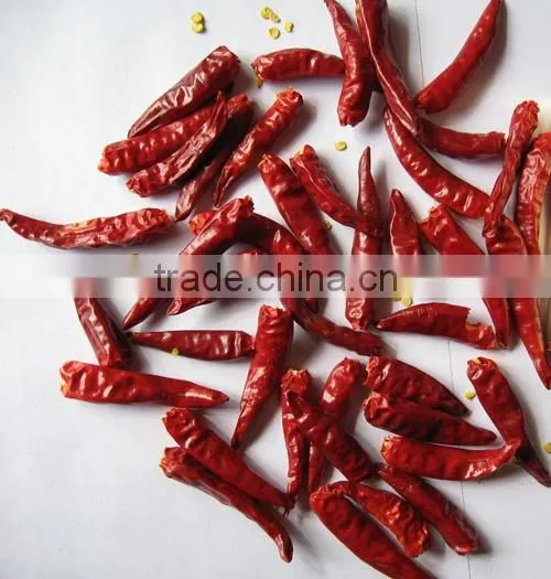 China New Crops,dry Hot Red Chaotian Tianying Tianjin Chilli photo-5