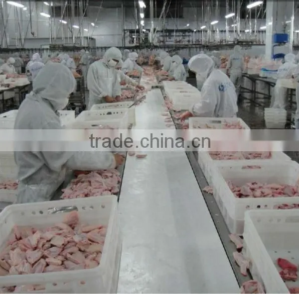 Poultry Cutting Line photo-2