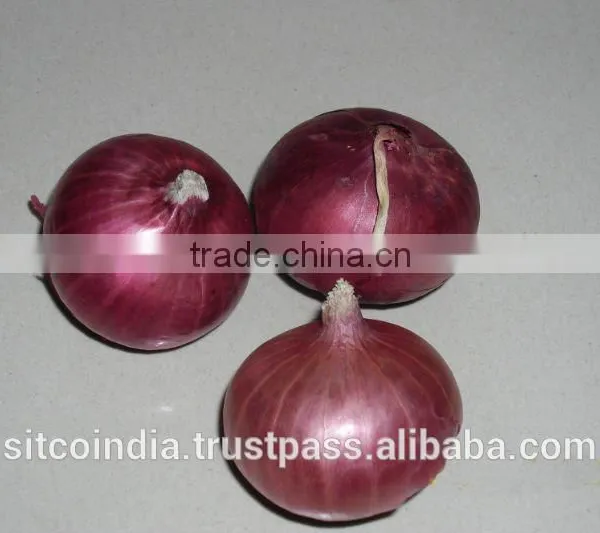 ONION photo-2