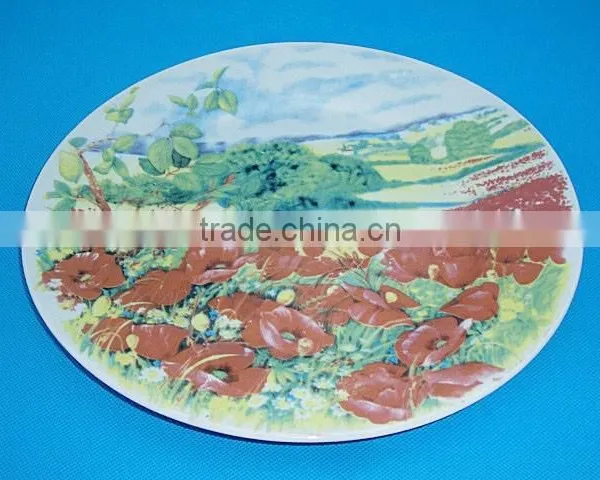 Cheap Ceramic Plate 10.5inch Dinner Plate Tableware in Stock photo-2