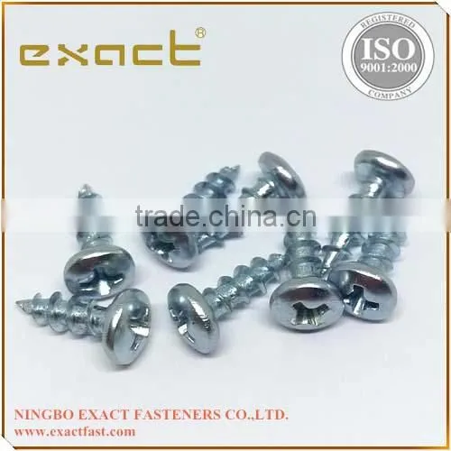 Self Tapping Screw Pan Head Phillips DIN7981 China Manufacturer photo-2
