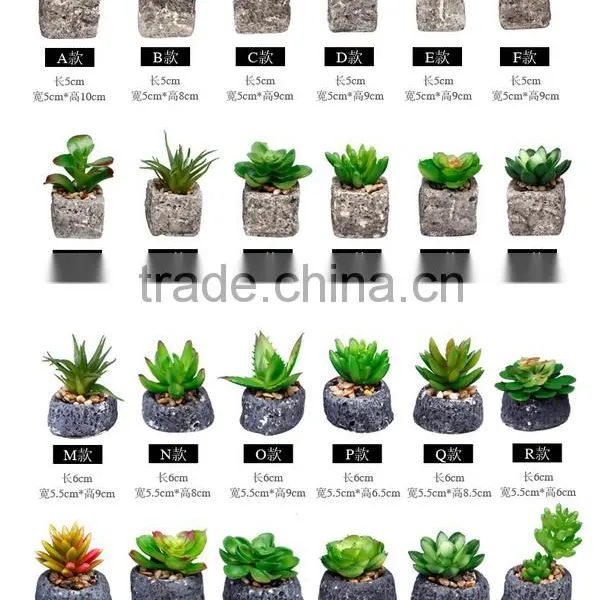 2016 Latest Design Artificial Succulent Pot Succulent Plants For Sale photo-5