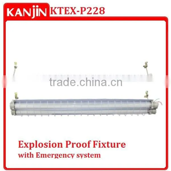 Explosion proof T5/T8 Fixture