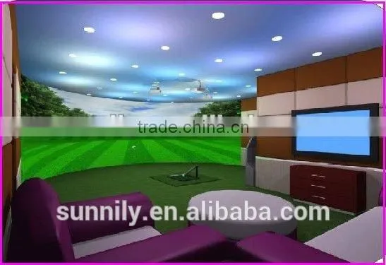 3d Golf Simulator photo-3