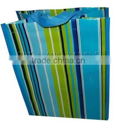 Shopping Bag(KL08S007)