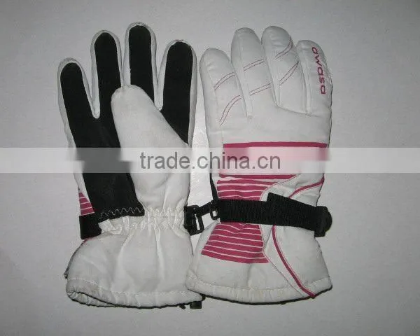 Ski Glove
