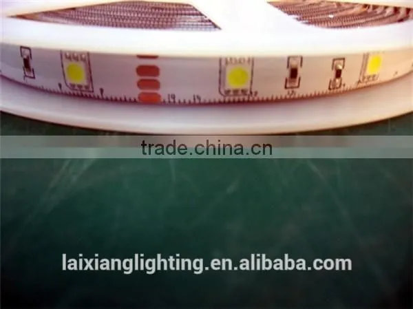Waterproof Strip 60leds/m 5050 SMD High Quality Led Strip Light for House Decoration photo-3