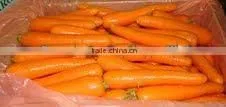 Fresh Carrot