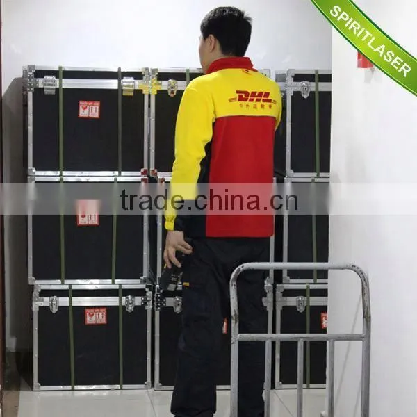 Made in China Wholesale Price Fasion Laser Hair Removal Machine for Saleipl photo-6