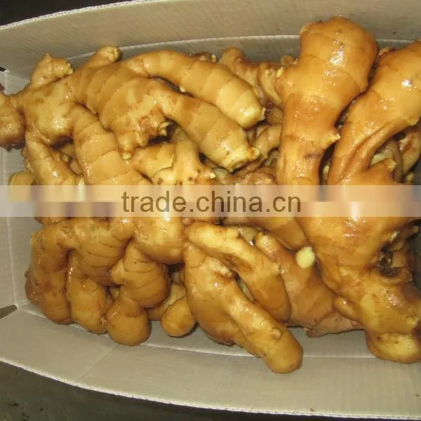 2015 New Fresh and Dried Ginger photo-2