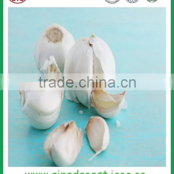 Fresh White Garlic From Chinese Garlic Hometown Jinxiang photo-3
