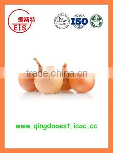 Export China Fresh Organic New Crop Red and Yellow Onion photo-2