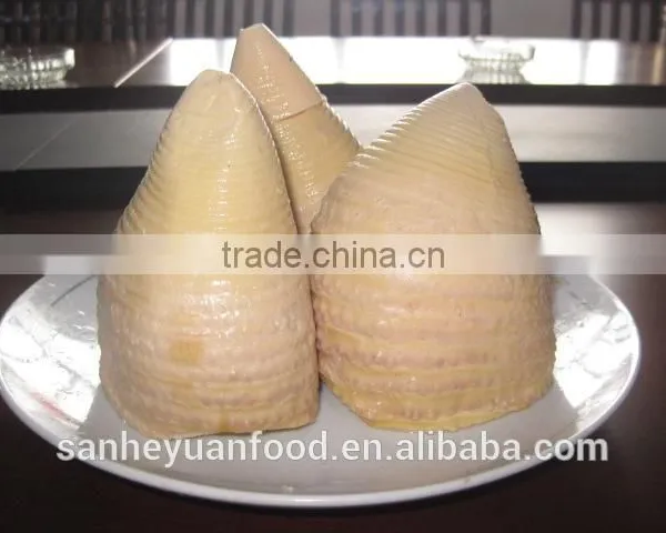 Good Quality Canned Bamboo Shoots Halves in Water photo-4