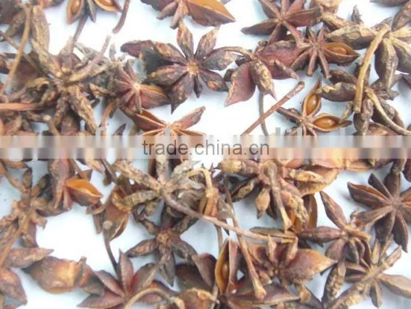 Star Aniseeds With Stems
