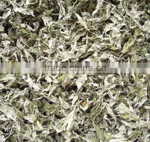 Chinese Mugwort Leaf