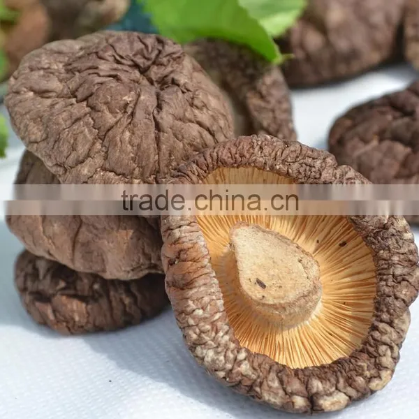 Hot Sale Log White Flower Mushroom / Dry Shiitake /hot Sale Dried Mushroom photo-3