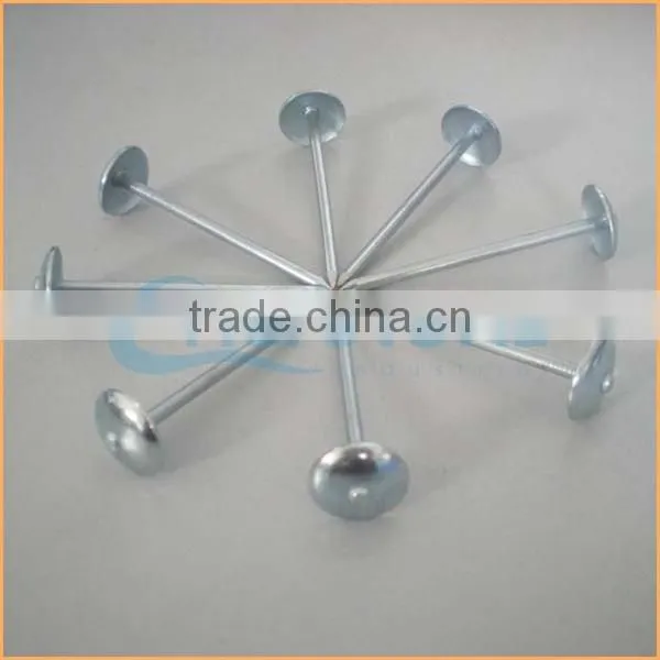Top Quality Roofing Nails With Plastic Washer Trusted Chuanghe Suppliers From Com photo-3