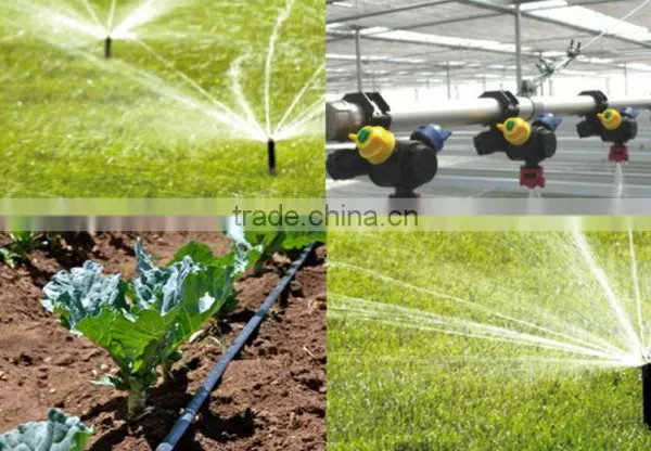 Selling Greenhouses Used for Plant Growth photo-5