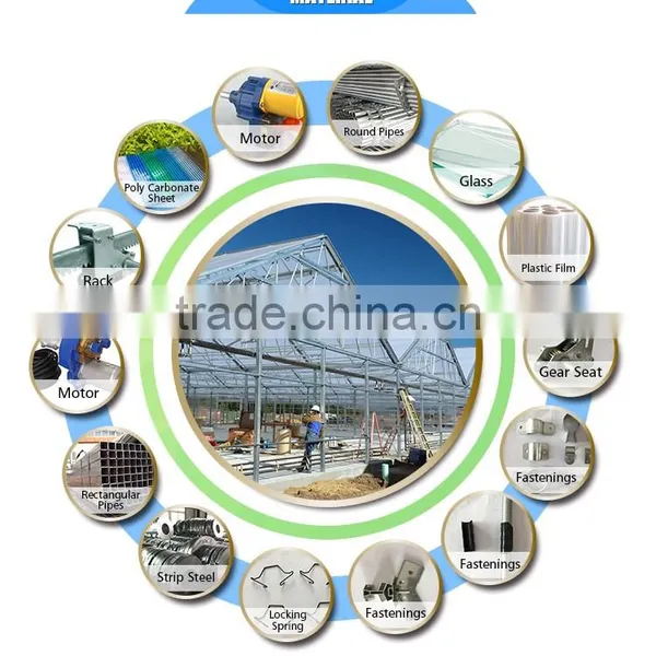 Agriculture Tunnel Plastic Commercial Greenhouse for Garden photo-5
