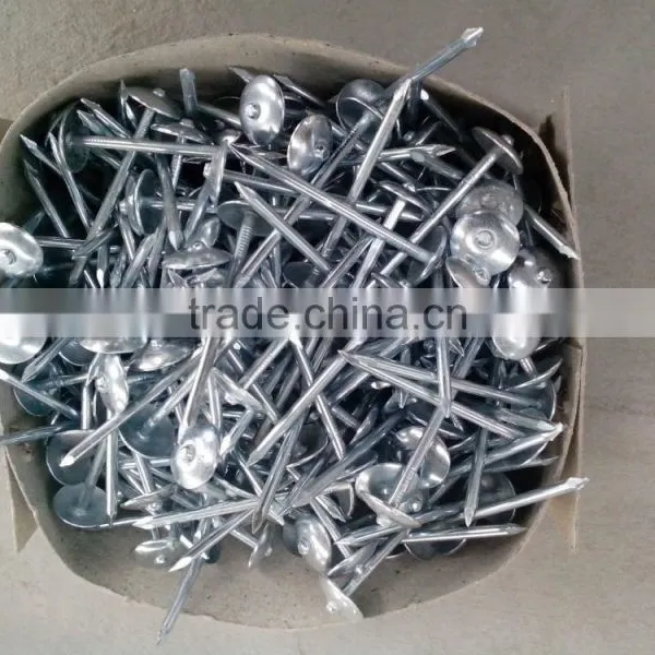 Нails для укрытия зонта высочайшего качества photo-4