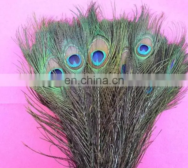 Factory Directly Sale Wholesale Top Quality Peacock Feathers in Stock photo-3
