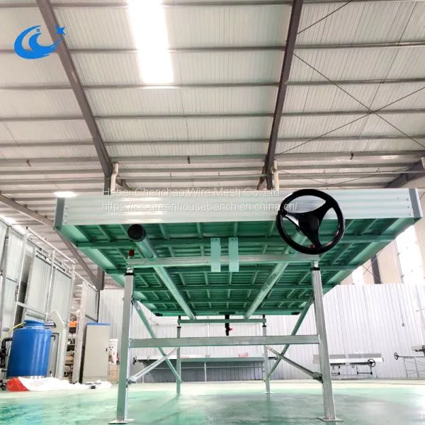 Rolling Benches for Greenhouse Growing Ebb and Flow Benches photo-3