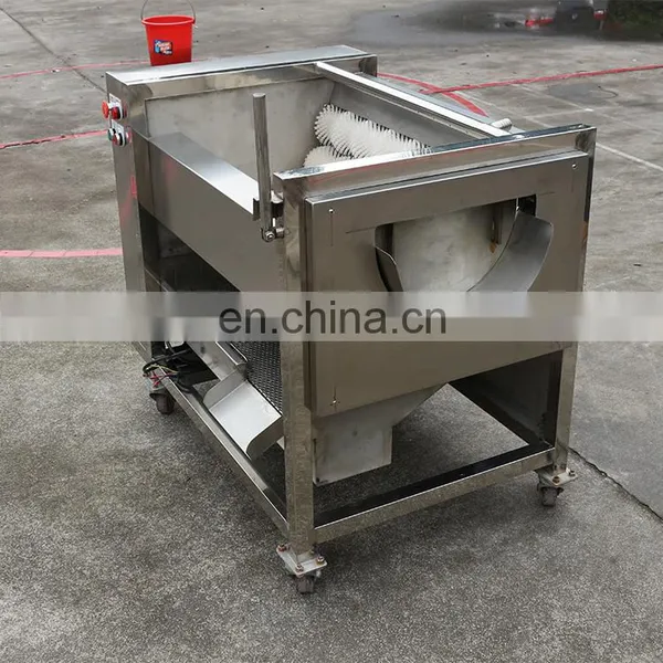 Promotional Device Indian Onion Potato Ginger Washer Vegetable Yam Peeling Machine photo-6