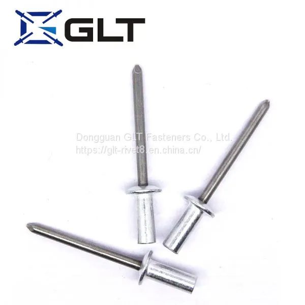 Blind Rivet Manufacturers Aluminum/Stainless Steel Din 7337 Closed End Blind Rivets photo-4