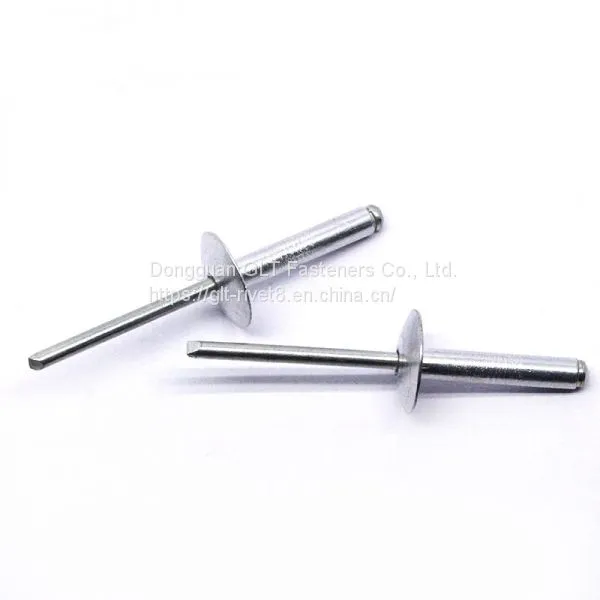Aluminum Blind Rivet 4.8 X16x14 Big Dome Head Blind Rivet Large Flange Head Pop Rivet photo-5
