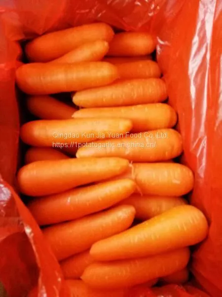 Fresh Carrots photo-2