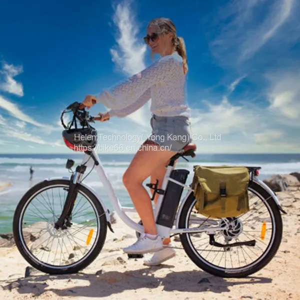 Factory Supply 20'' E-bike Aluminium Alloy Electric Fat Bicycle Commuting Electric Bike With Warrantly Look for Business Agent photo-4