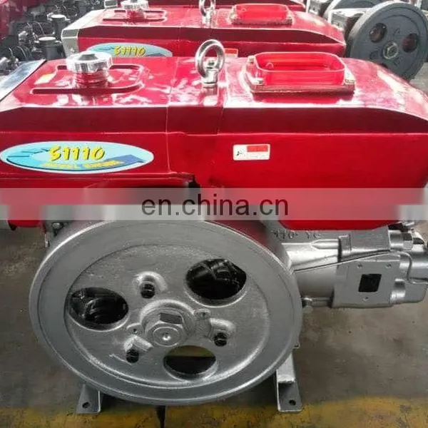 Hot Sale Single Cylinder Diesel Engine ZS1110 for Water Pump photo-2